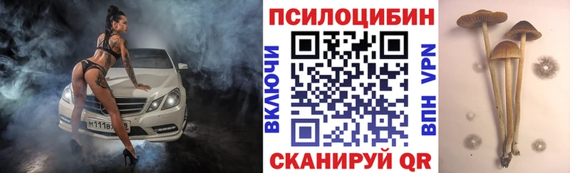 Галлюциногенные грибы ЛСД  блэк спрут зеркало  Цимлянск 