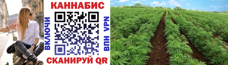 Бошки Шишки MAZAR Цимлянск